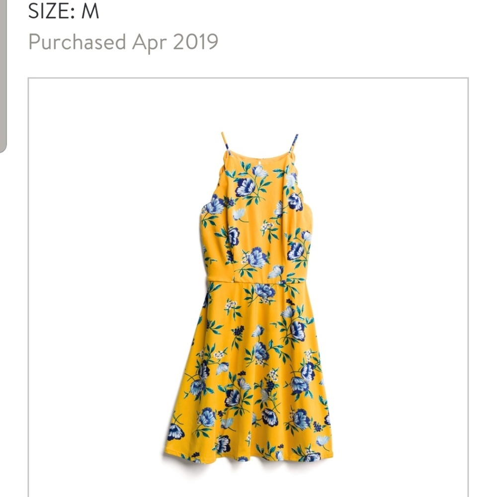 Scallop Detail Dress-NWT
